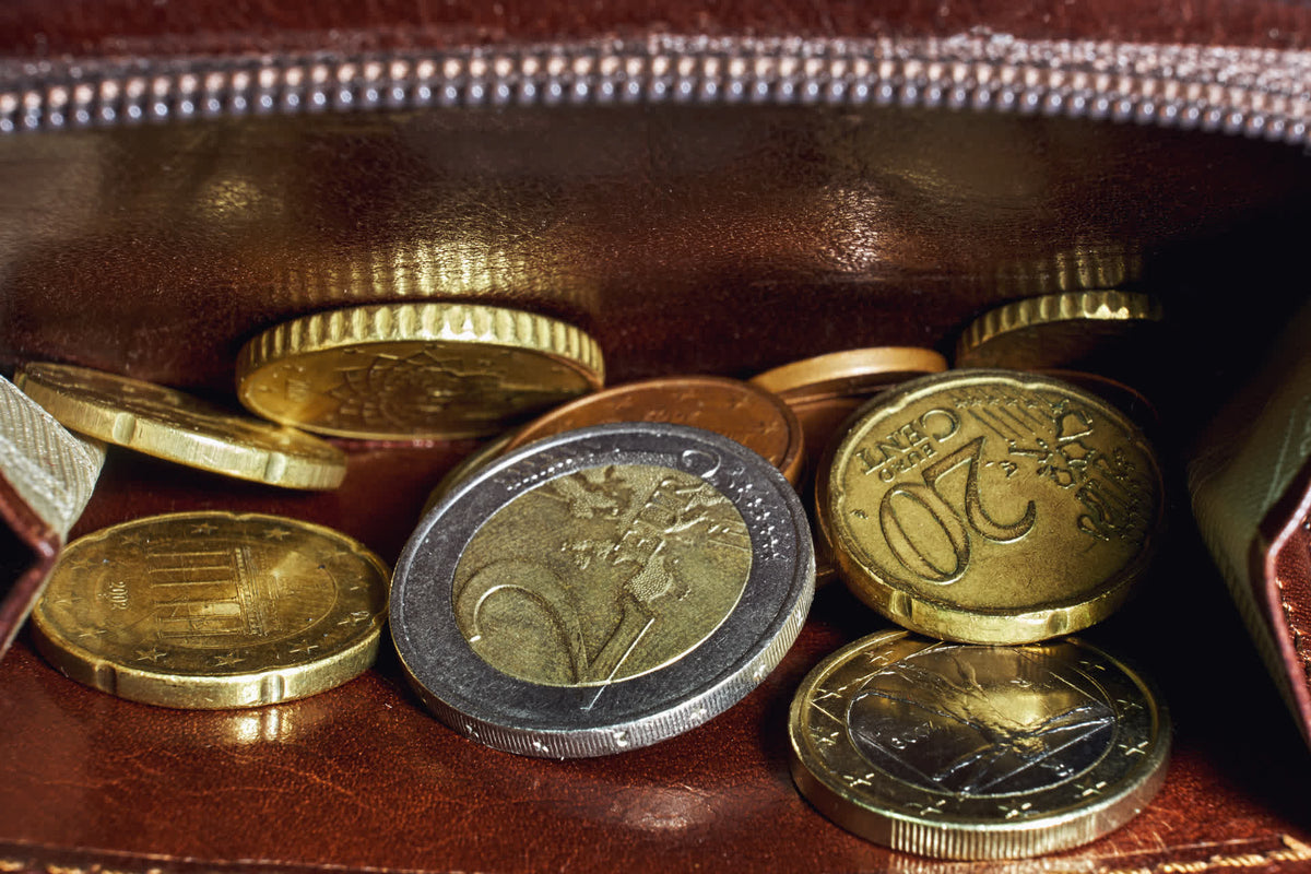 coin purse
