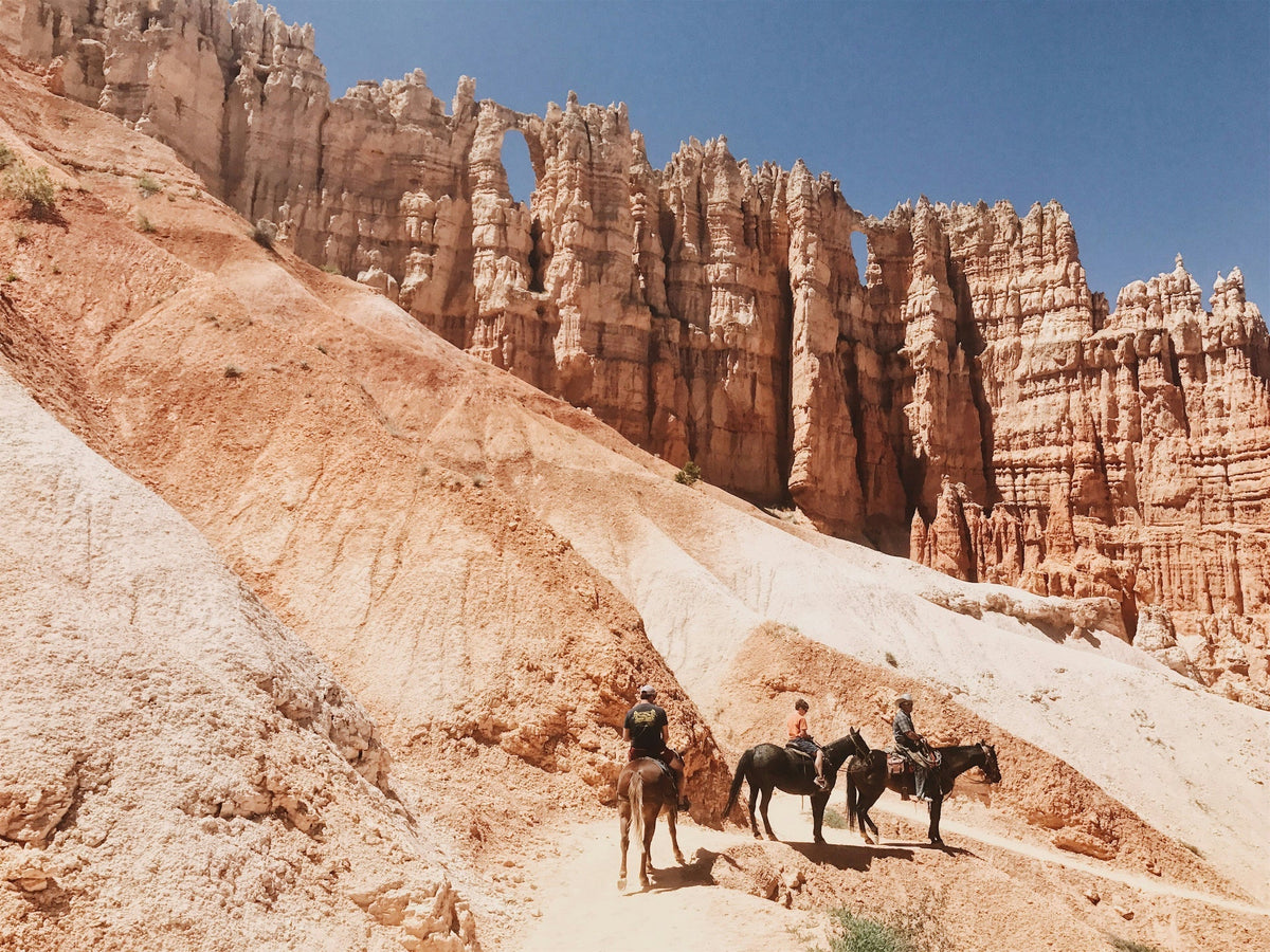 Best Men's Underwear for Horseback Riding